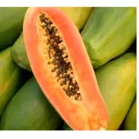 Papaya