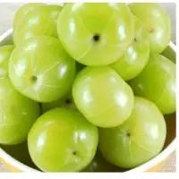 Indian Gooseberry