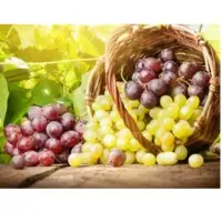 Grapes