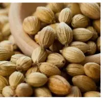 Coriander Seeds