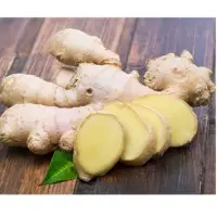 Ginger