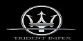 Trident Impex Ltd. logo