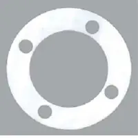 PTFE Gasket