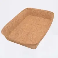 Coir Growing Tray