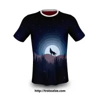 3D Fox At Night Men T Shirt Half Sleeve