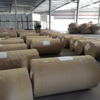 PP Woven Fabric