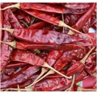 Red Chilli Long
