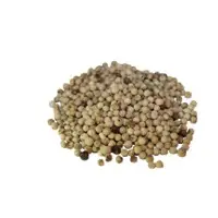 Pepper Corn White