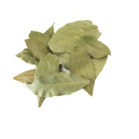Bay Leaves (Tej Patta)