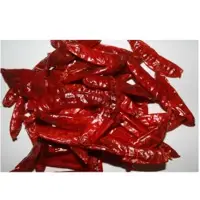 Red Chilli Steamless