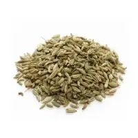 Fennel Seeds