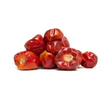 Red Chilli Bulb