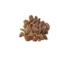 Black Cardamom