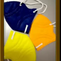 Mask 3 Layer N95