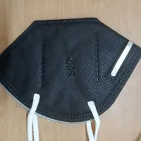 Mask 5 Layer N95