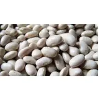 	White Peas (Safed Watana)