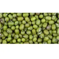 	Green Beans (Green Moong)