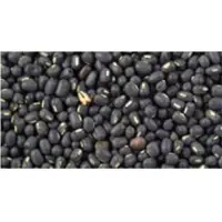 	Black Matpe