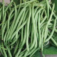 Beans