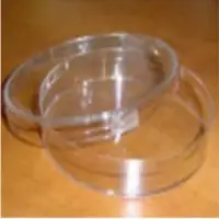 Watch Glass