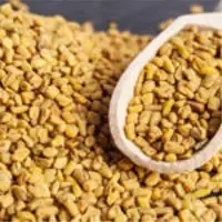 Fenugreek Seeds