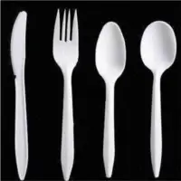 Disposable Cutlery
