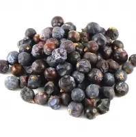 Juniper Berries
