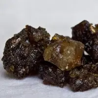 Gum Guggal