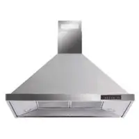 Stainless steel wall mount hoods