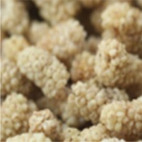 Dried Mulberries