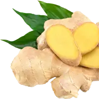 Fresh Ginger