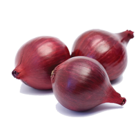 Fresh Onion