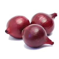Fresh Onion