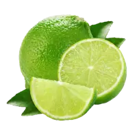 Fresh Lemon