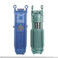 Vertical Open Well Pump