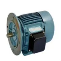 AC Induction Motors