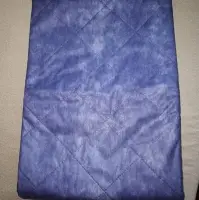 Disposable Blanket