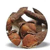 Cloves