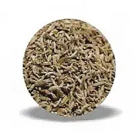 Cumin Seeds