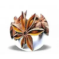 Staf Aniseed