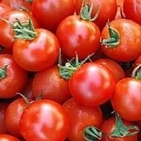 Tomatoes