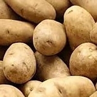 Potatoes