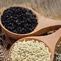 Sesame Seeds