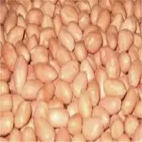 Peanuts