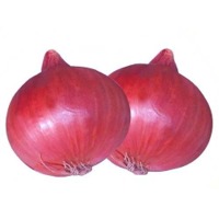 Onion