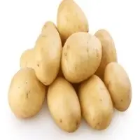 Potato