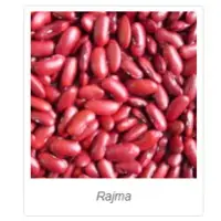 Rajma