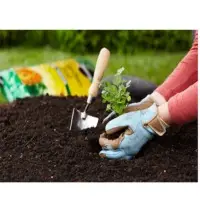 Vermicompost, Mannure