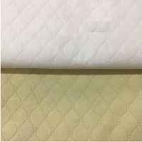 Lining For Pillows And Quilt