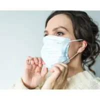 3 Ply Masks